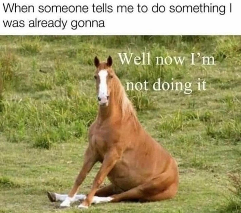 Horse - When someone tells me to do something | was already gonna Well now I'm not doing it