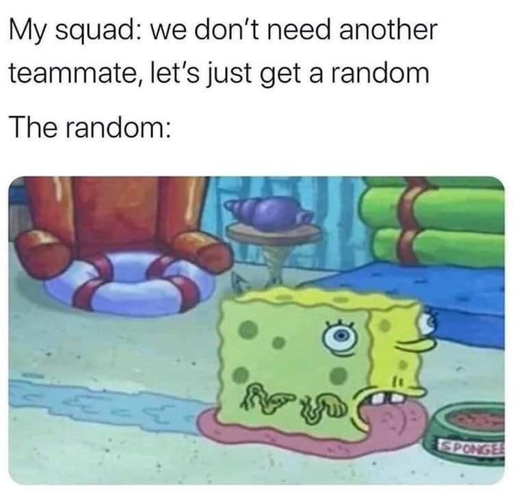 Vertebrate - My squad: we don't need another teammate, let's just get a random The random: SPONGE
