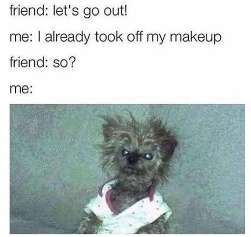 Dog - friend: let's go out! me: I already took off my makeup friend: so? me: