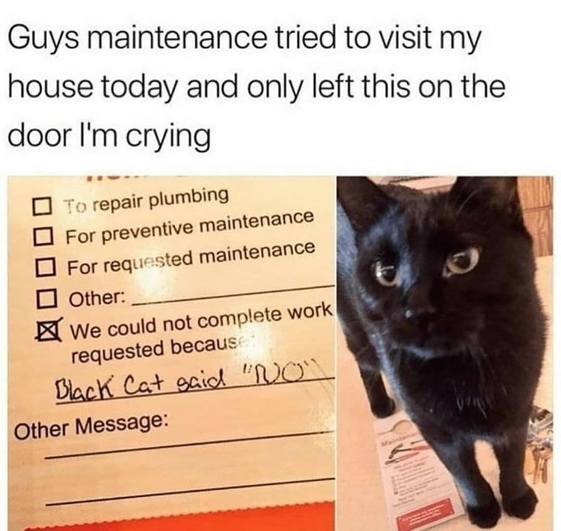 Cat - Guys maintenance tried to visit my house today and only left this on the door l'm crying To repair plumbing For preventive maintenance For requested maintenance Other: We could not complete work requested becaus: Black Cat gaicd "NO" Other Message: Mainten