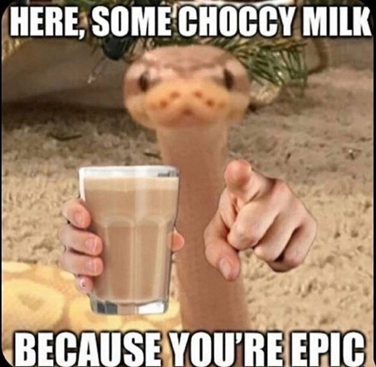 Gesture - HERE; SOME CHOCCY MILK BECAUSE YOU'RE EPIC