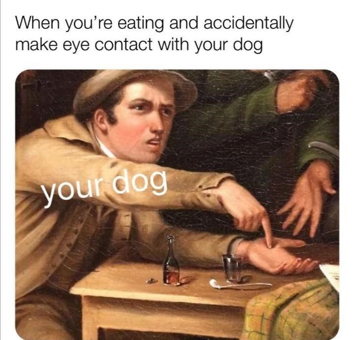 Human - When you're eating and accidentally make eye contact with your dog your dog