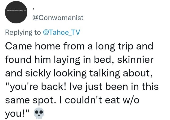 Font - The universe se looking out. @Conwomanist Replying to @Tahoe_TV Came home from a long trip and found him laying in bed, skinnier and sickly looking talking about, "you're back! Ive just been in this same spot. I couldn't eat w/o you!" .