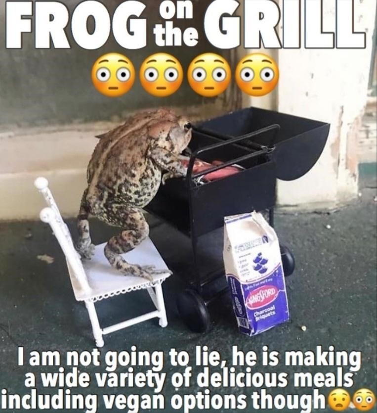 Carnivore - on FROG the GRILL Hoy ado NG FORD Charcoal Briquets I am not going to lie, he is making a wide variety of delicious meals including vegan options though.
