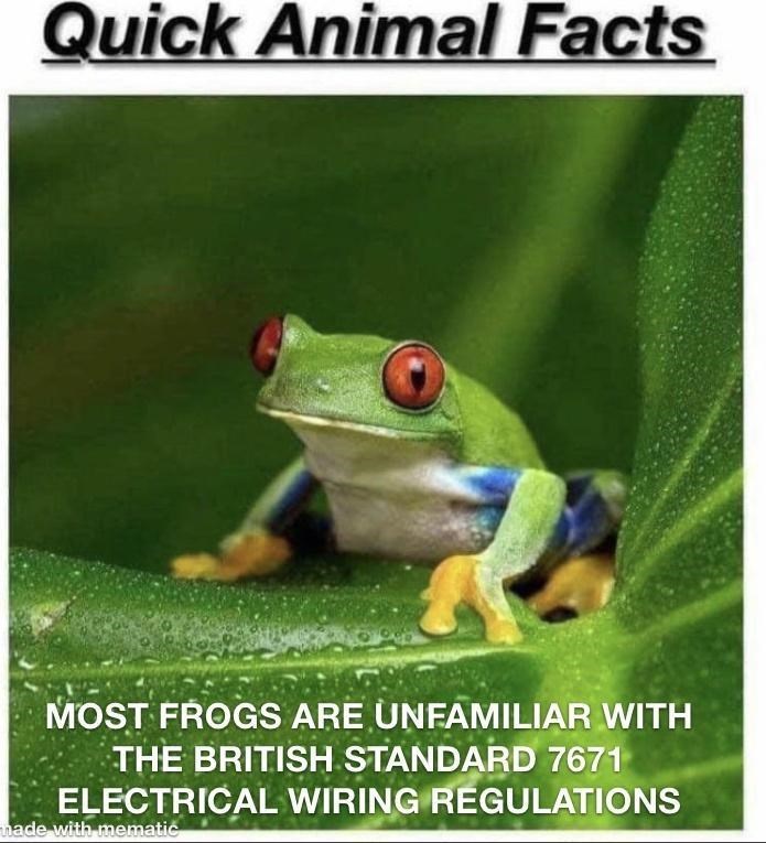 Frog - Quick Animal Facts MOST FROGS ARE UNFAMILIAR WITH THE BRITISH STANDARD 7671 ELECTRICAL WIRING REGULATIONS hade with mematic