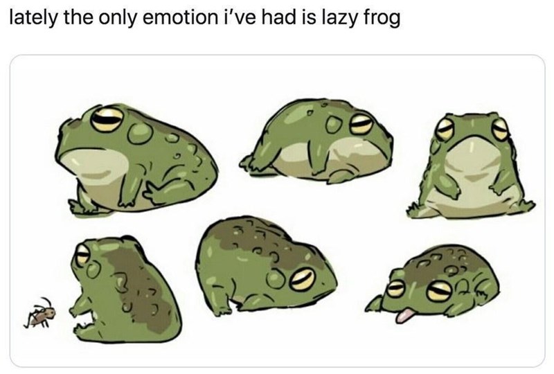 White - lately the only emotion i've had is lazy frog