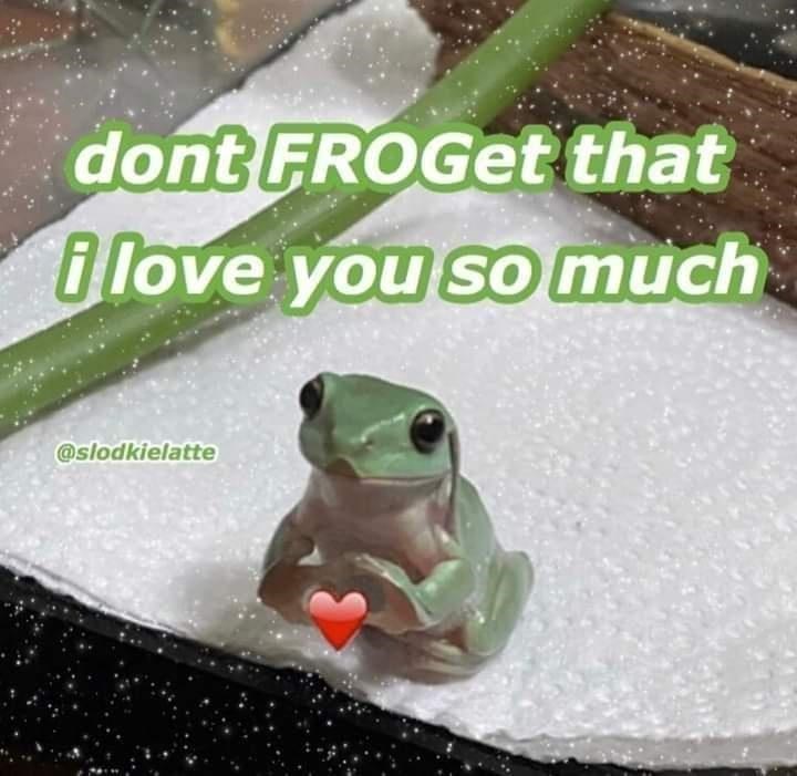 True frog - dont FROGet that i love you so much @slodkielatte