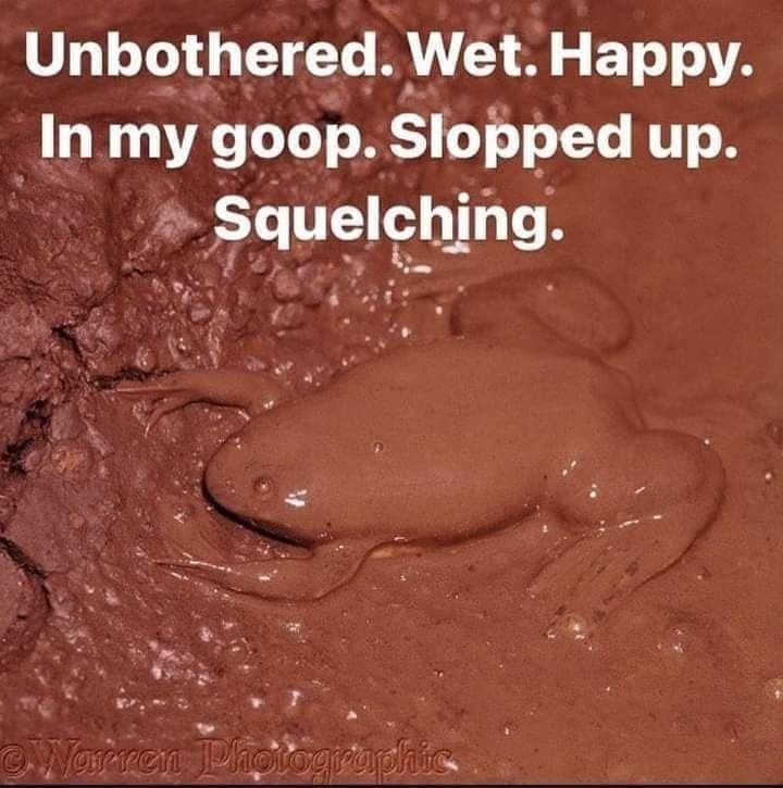 Vertebrate - Unbothered. Wet. Happy. In my goop. Slopped up. Squelching. Warren Photographic