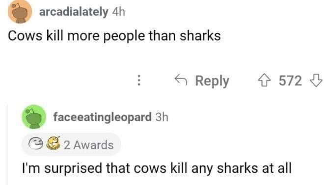 Rectangle - arcadialately 4h Cows kill more people than sharks : Reply 4572 ↓ faceeatingleopard 3h 2 Awards I'm surprised that cows kill any sharks at all