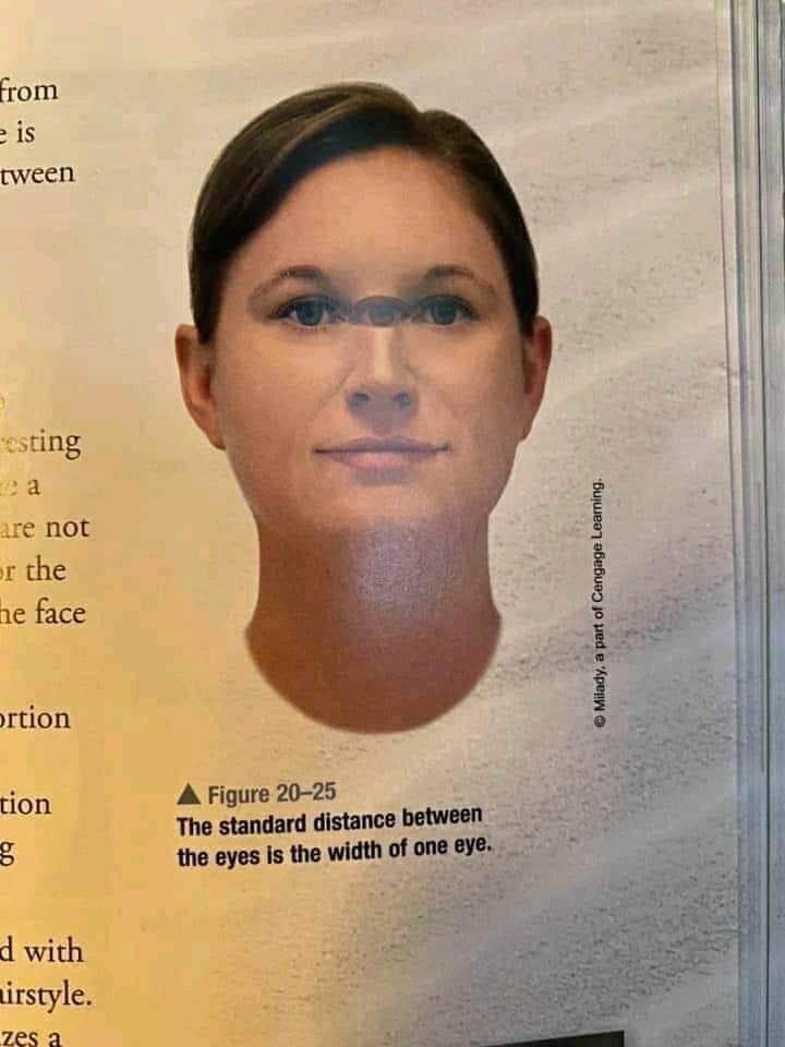 Forehead - from e is tween esting a are not or the he face ortion tion g d with irstyle. zes a A Figure 20-25 The standard distance between the eyes is the width of one eye. ⒸMilady, a part of Cengage Learning.