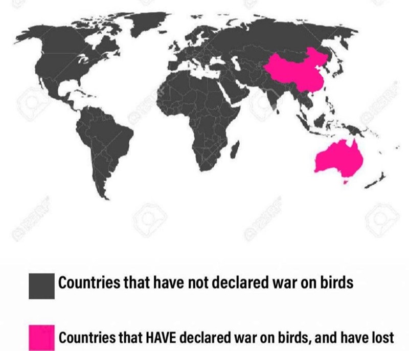 White - O Countries that have not declared war on birds Countries that HAVE declared war on birds, and have lost