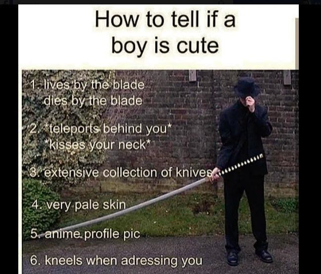 Font - How to tell if a boy is cute 1 lives by the blade dies by the blade 2. teleports behind you* kisses your neck* 3 extensive collection of knives 4. very pale skin 5. anime.profile pic 6. kneels when adressing you